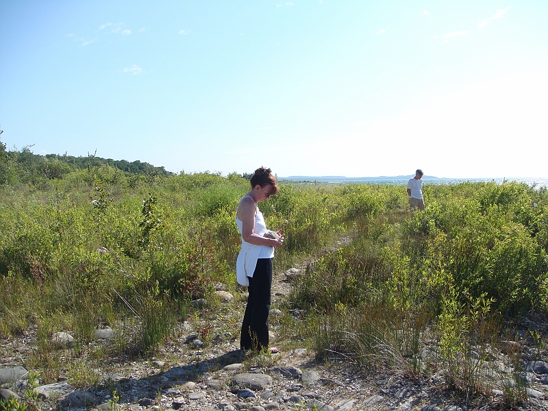 Western Michigan [2010] 905.JPG - Scenes from our trip to Western Michigan. Some places along the way were Ludington, Sleep Bear Dunes, and Traverse City.